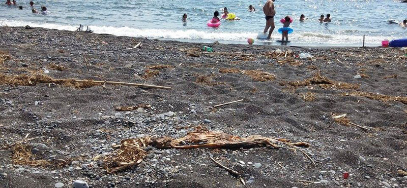 Spiaggia di Rovigliano, la denuncia del Comitato Gente del Sarno: situazione allucinante