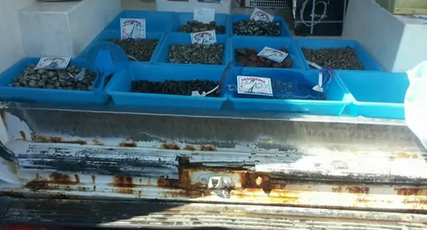 Torre Annunziata - Altro sequestro di prodotti ittici in cattivo stato di conservazione