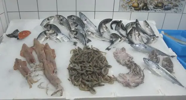 Due quintali di prodotti ittici sequestrati in due pescherie a Pompei