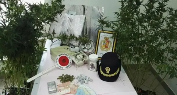 Napoli - Serra di marijuana in casa, arrestato 51enne