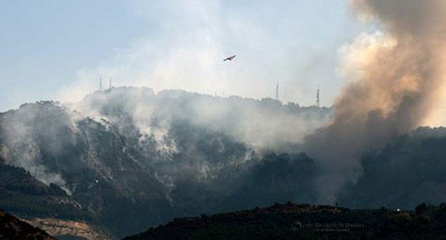 Incendi sul Monte Faito, preso il presunto piromane: è un 60enne di Vico Equense