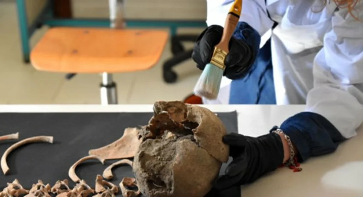 Pompei - Notte Europea dei Ricercatori, il mondo scientifico incontra i visitatori al sito archeologico