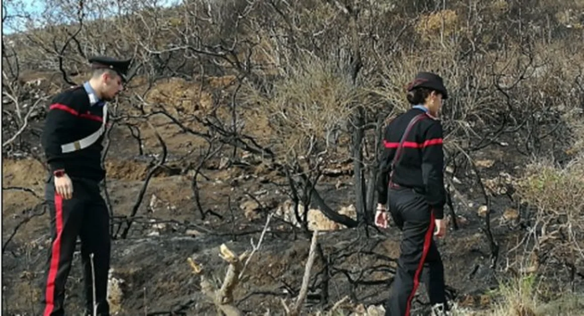 Capri (NA) - Fiamme sul Monte Solaro, un 15enne aveva dato fuoco a delle foglie con un accendino