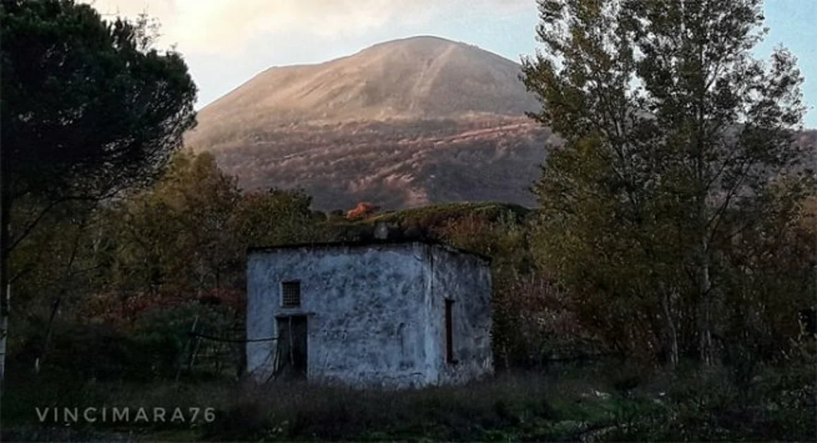 Sciame sismico Vesuvio, l'Osservatorio: «Livello di allerta verde, il più basso»