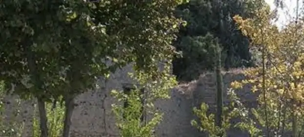 La valorizzazione dell'Orto Botanico del Parco Archeologico di Pompei