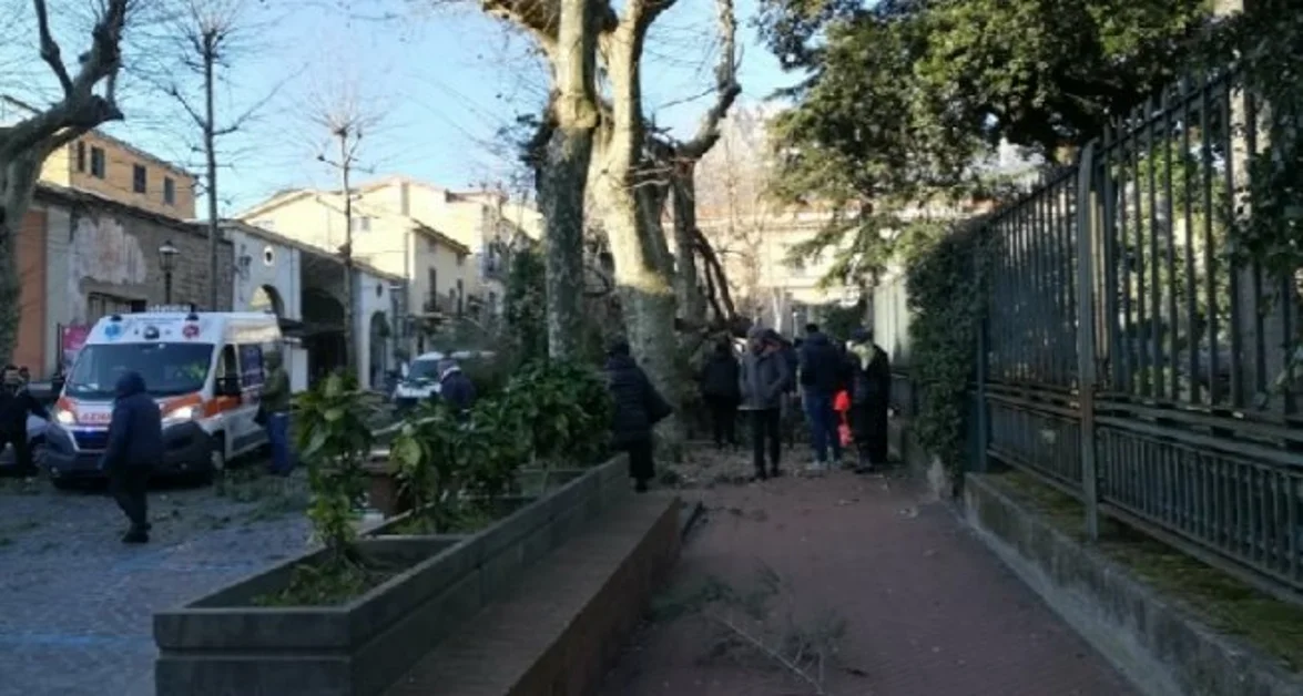 Oculista 61 enne di Torre Annunziata morto schiacciato da un albero a Cava de' Tirreni