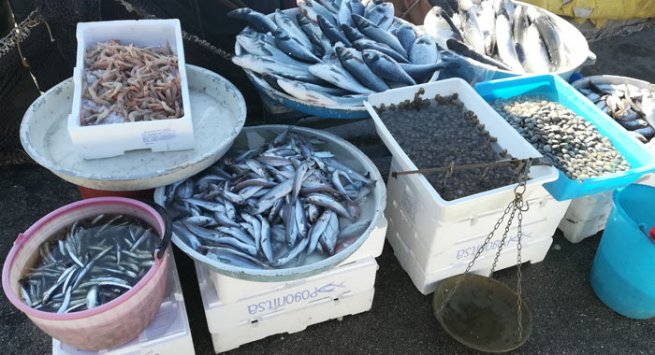 Torre Annunziata -  Operazione della Guardia Costiera, sequestrati 80 kg di prodotto ittici