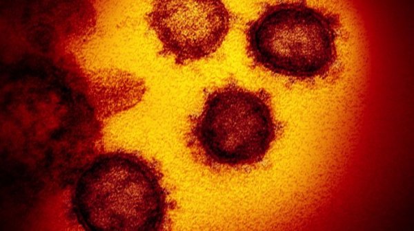 Coronavirus: come agisce e come prevenire la malattia