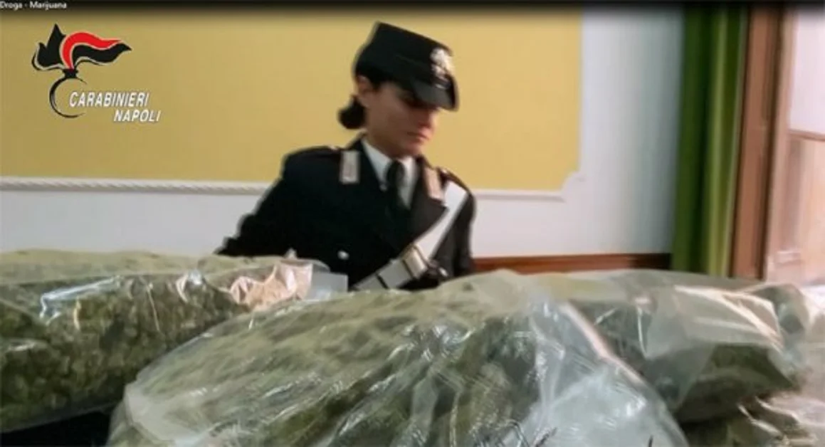 Carabinieri sequestrano 48 chili di droga, importati dalla penisola iberica