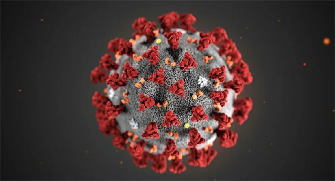 Coronavirus, dal cuore all'intestino, tutti gli organi attaccati dal  virus