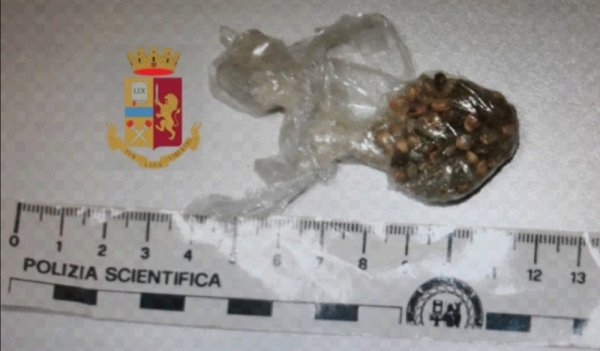 Castellammare - Marijuana coltivata sul terrazzo di casa, denunciato 55enne