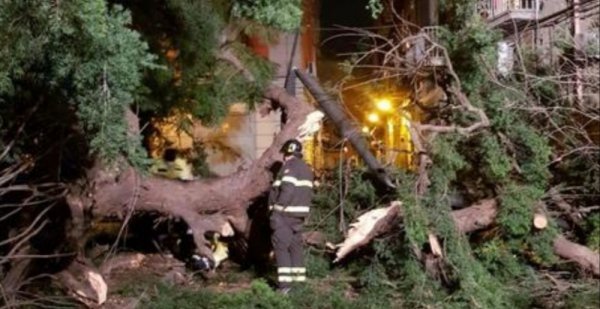 Maltempo a Napoli: cade albero in piazza Cavour, ferito giovane
