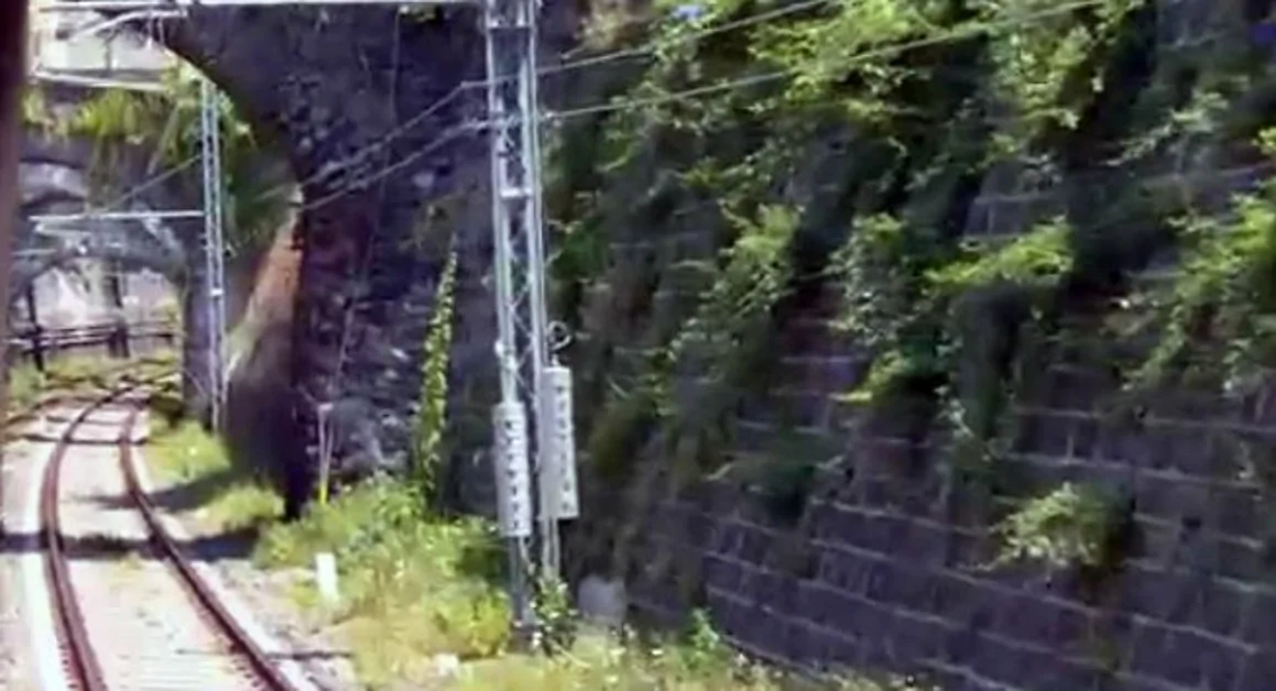 Tragedia sui binari: sarebbe un 27enne di Torre Annunziata la vittima dell'incidente ferroviario