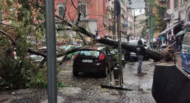 Napoli - Maltempo, cade albero su auto in via Cavour