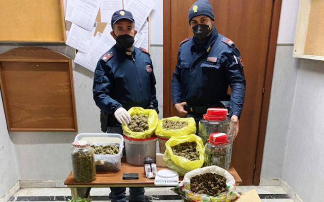 Pomigliano d’Arco - Avevano allestito una serra di cannabis in casa, arrestati 2 uomini