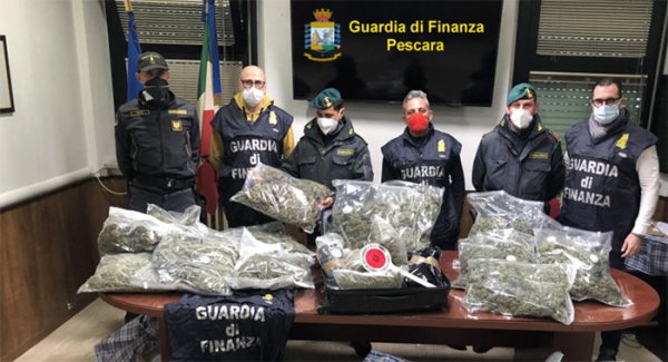 Nel Pescarese scoperto deposito di marijuana "casalingo"; sequestrati 45 chili di droga