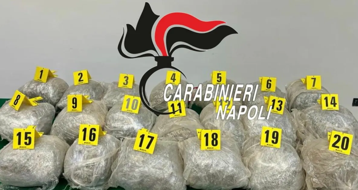 Armi e droga sui Lattari, arrestato boss e sequestrati oltre 40 kg di marijuana 