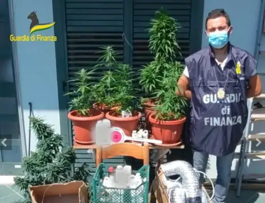 Marijuana coltivata in casa, denunciato 44enne
